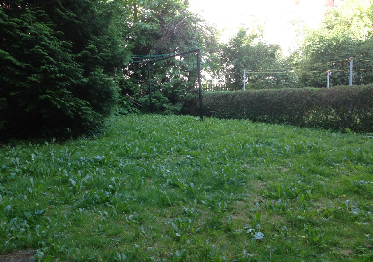 Ansicht